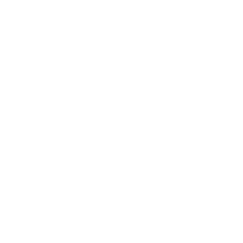 Cost Icon